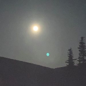 Meet your Posher, Marcel